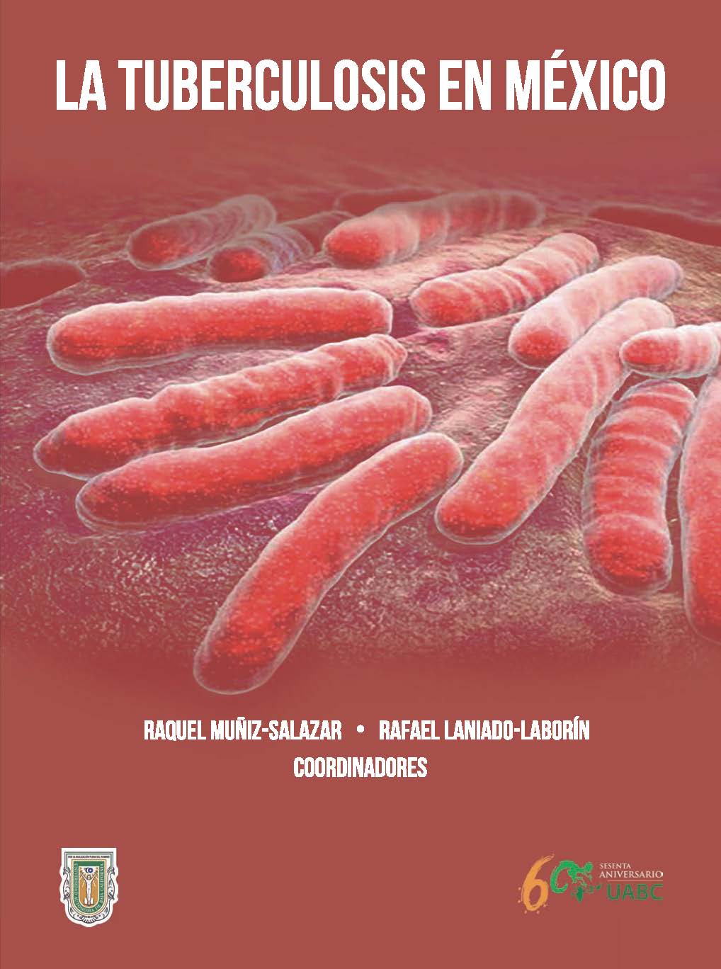 3.2.3.LibroTBcoordinadora_Page_4